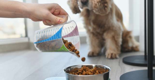 6 factori de care să ții cont când alegi mâncarea uscată potrivită pentru câinele tău