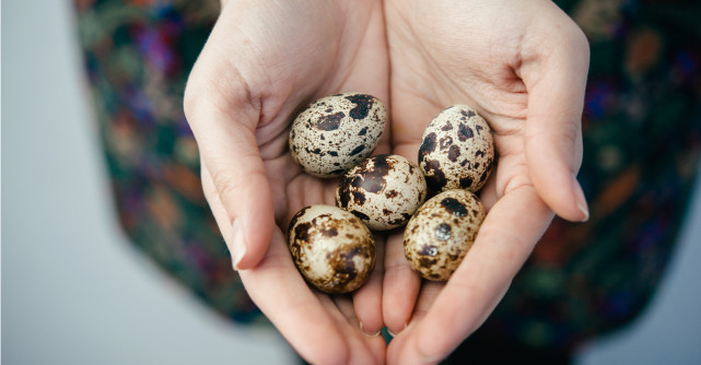 Cura cu oua de prepelita