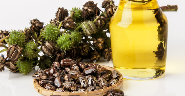 Minunile uleiului de RICIN