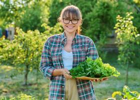 Tratamente naturiste pentru imunitate vara: ceaiuri, plante și alimente care susțin organismul