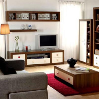 Elvila te sfatuieste cum sa amenajezi o sufragerie