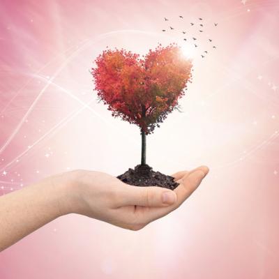 8 Analize medicale care iti SALVEAZA VIATA