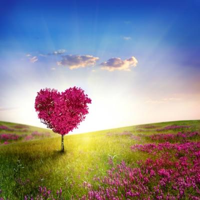 Lectiile de iubire divina predate de Fericitul Augustin