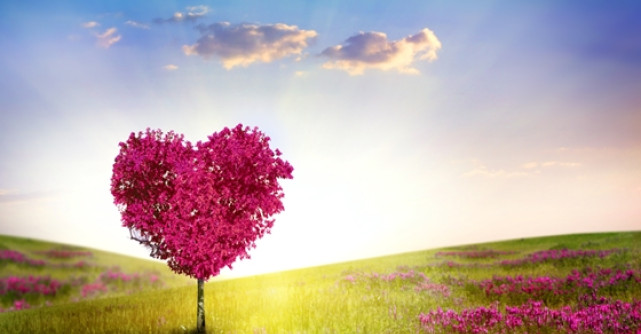 Lectiile de iubire divina predate de Fericitul Augustin