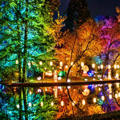 Bucureștiul a pornit în „Ocolul Pământului”: 15.000 de vizitatori în primele trei zile la Lumina Park
