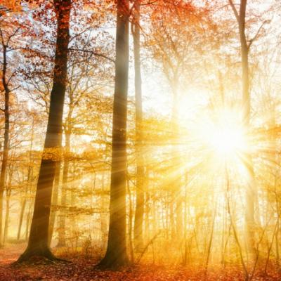 Echinocțiul de toamnă 2019. Când începe oficial toamna astronomică?