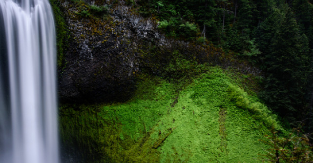 Trezirea: ghid pentru o spiritualitate fara religie