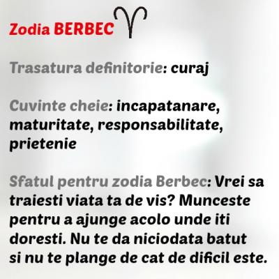 Sfatul de care ai nevoie in functie de zodia in care te-ai nascut