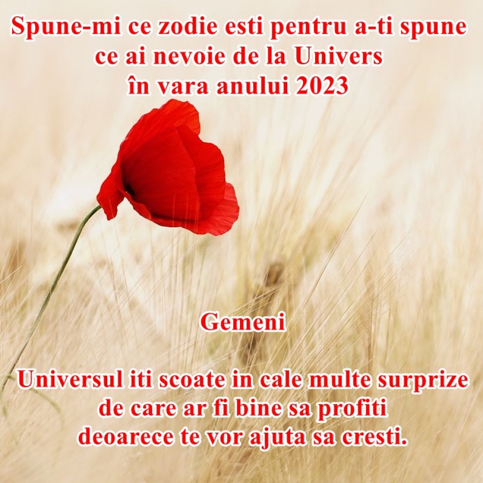 Spune-mi ce zodie ești pentru a îți spune de ce ai nevoie de la Univers în vara anului 2023