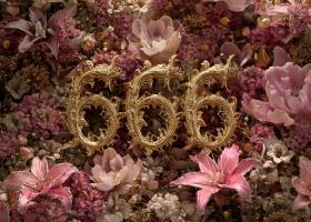 Ecuația Armoniei Interioare — Semnificațiile și acțiunile recomandate pentru numerele 6, 66 și 666