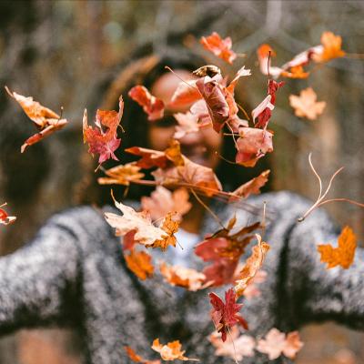 3 pasi pentru o toamna productiva