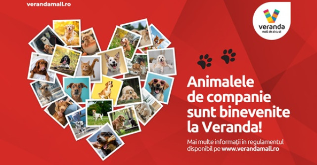Veranda Mall a devenit pet friendly! Cum să-ți planifici vizita alături de prietenul blănos