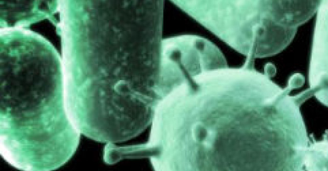 Tot ce trebuie sa stii despre infectiile urinare