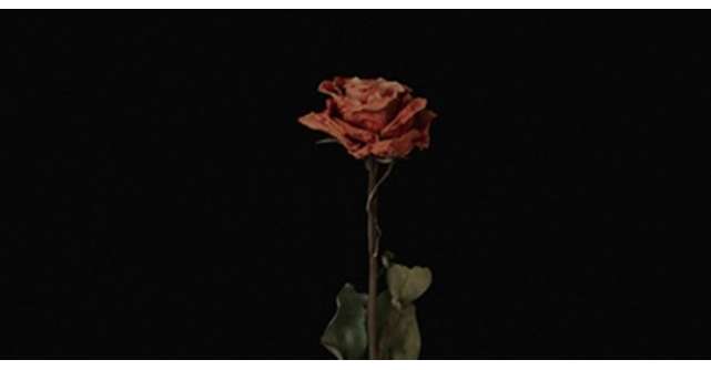 Mario Fresh continuă călătoria muzicală cu Floarea Mea, cea de a doua piesă de pe primul său EP 