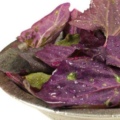 Loboda - alimentul detoxifiant si antioxidant al primaverii