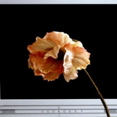 9 Exercitii de relaxare la birou