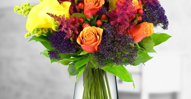 Spectacol rustic si elegant in noua colectie de toamna Floria.ro