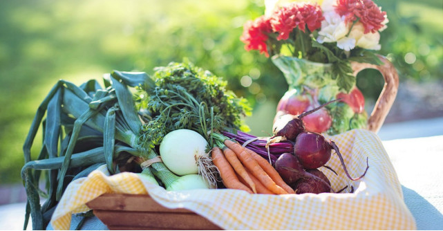 9 alimente magice pentru dieta ta zilnica