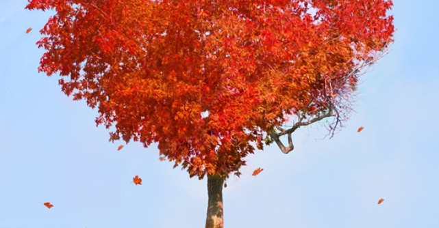 99 de moduri de a spune TE IUBESC! In italiana! 