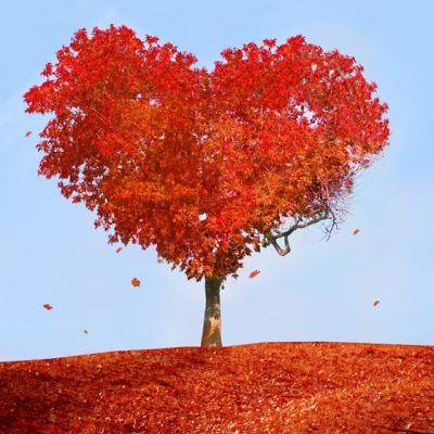 99 de moduri de a spune TE IUBESC! In italiana! 