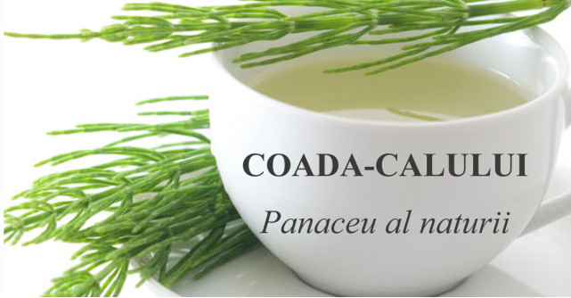 Coada-Calului: Efecte INCREDIBILE descoperite de cercetatori