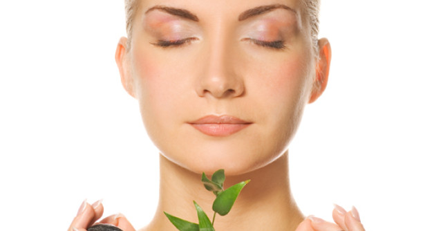 Antibiotice din plante 