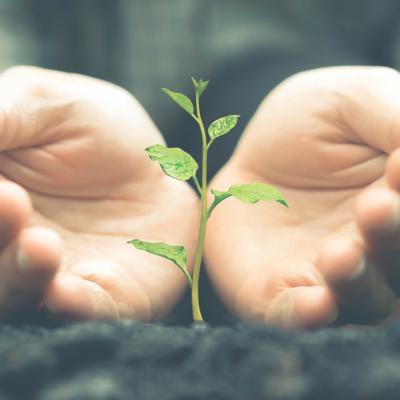 PĂMÂNT și RENAȘTERE, cuvintele cheie pentru săptămâna18-24  MARTIE 2019