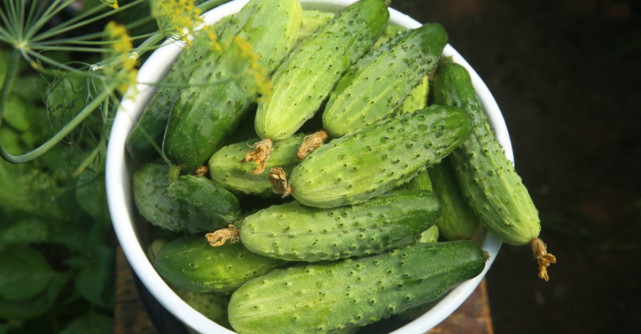 Dieta cu castravete sau cum poti slabi 2 kg in 2 zile