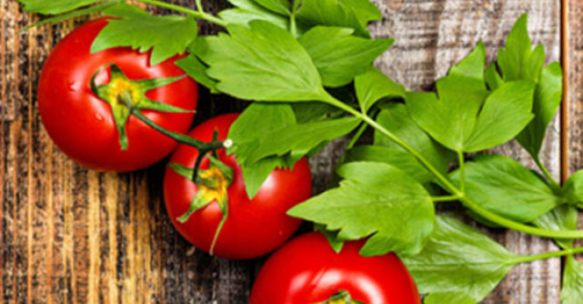 Leusteanul: alunga depresiile si curata sangele