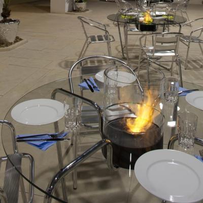 Biosemineul FireTable - un efect vizual elegant si modern