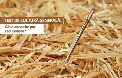Test de cultura generala: Cate proverbe poti recunoaste cu o singura imagine?