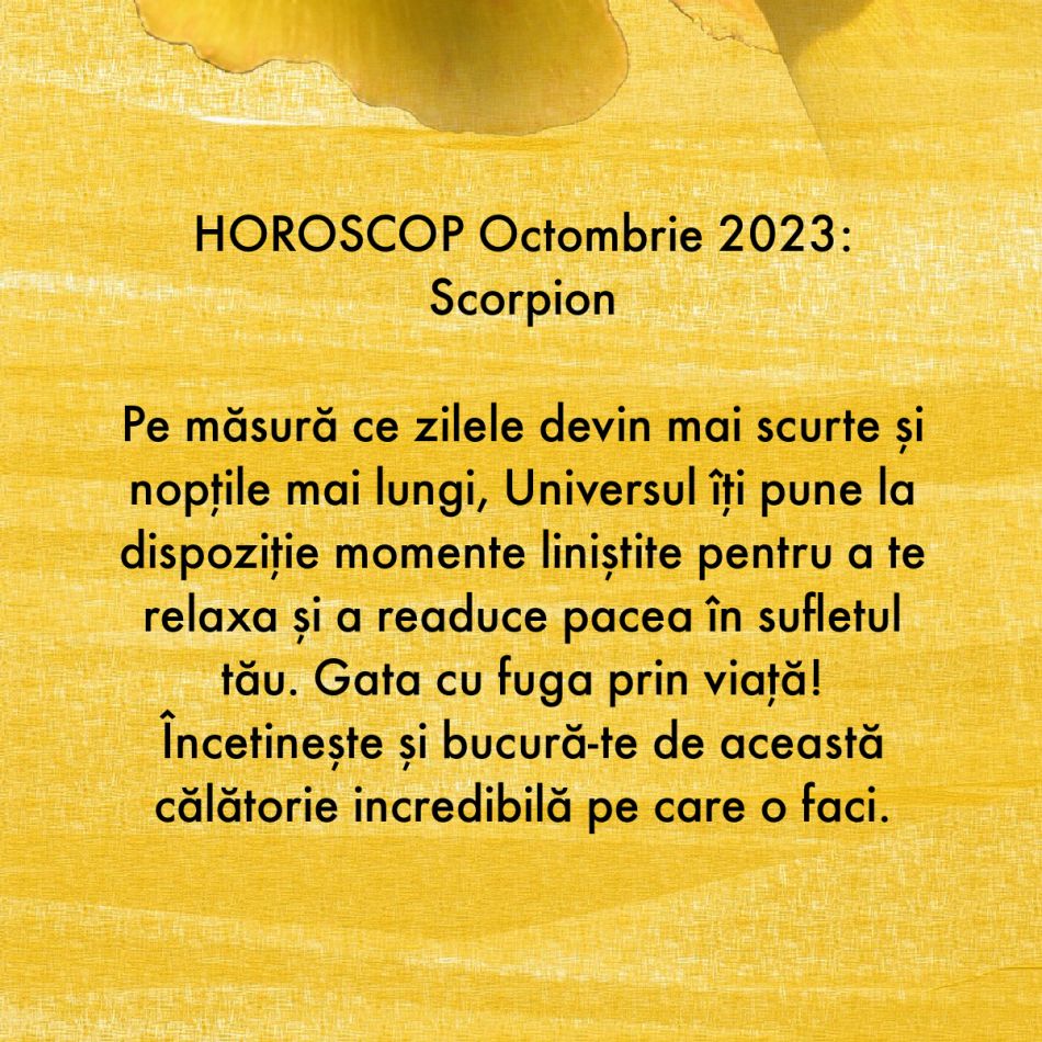 Horoscop octombrie 2023: Începe curățenia de toamnă în suflet. Readucem liniștea și pacea în viețile noastre