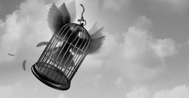 DANS și COLIBRI, cuvintele cheie pentru săptămâna 23-29 martie