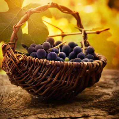 Strugurii - un ciorchine de beneficii pentru organism