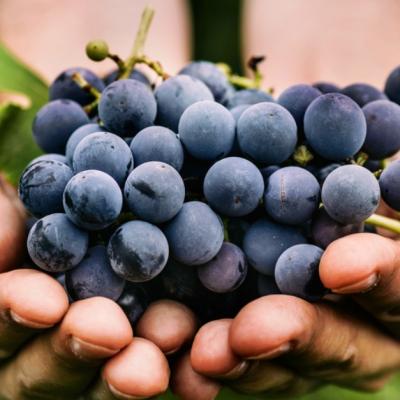 Fructele de toamna. Ce sa mancam in aceasta perioada?