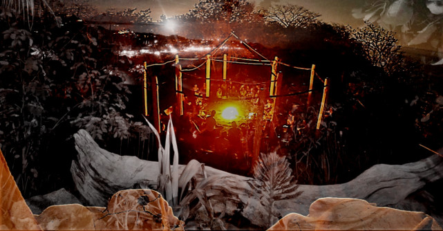 Artistul roman care a trait experiente unice printre shamani