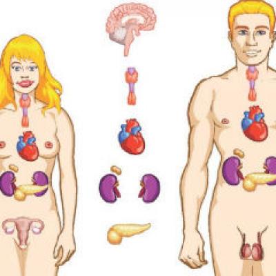 Primul transplant de rinichi intre gemeni