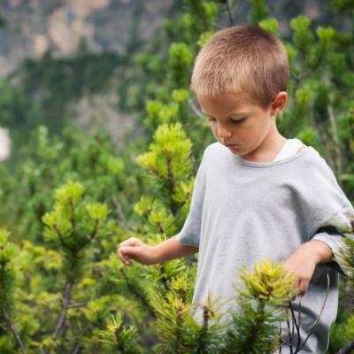 Un tata avea patru fii. Uite ce i-a rugat sa faca