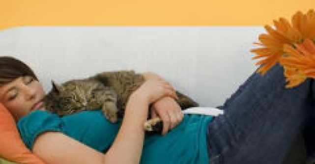 Pisica - o cauza pentru care nu poti avea copii