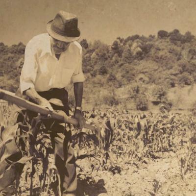 Nimic nu e întâmplător. În viață totul se întâmplă cu un scop