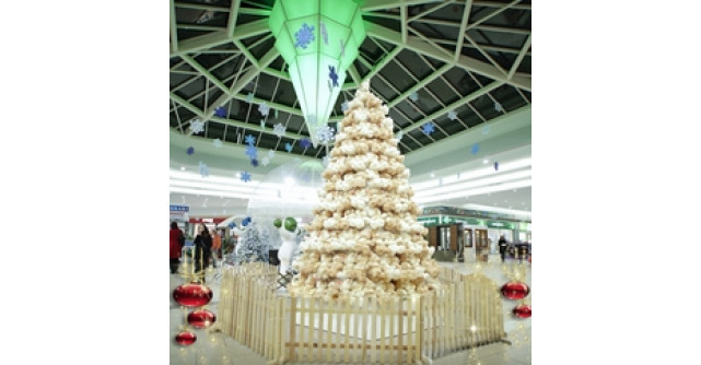 Primii brazi de ursuleti de plus in premiera in Romania