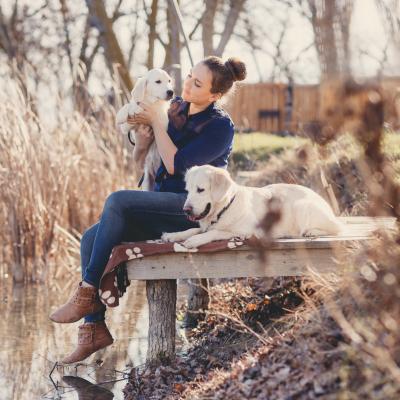 Cele mai emoționante citate despre câini, care o să îți bucure inima