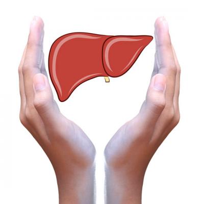 ALIMENTE care curata FICATUL