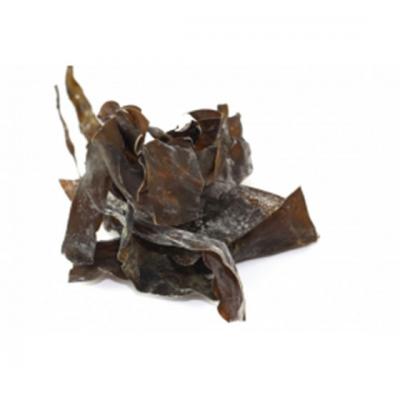 5 Alge BIO pe care sa le introduci in alimentatia ta