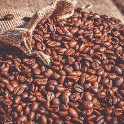 Lavazza relansează brandul de cafea Gran Café Paulista
