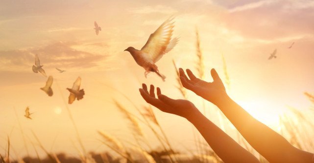 GENEROZITATE  și CREDINȚĂ, cuvintele cheie pentru săptămâna 29  APRILIE - 5 MAI 2019