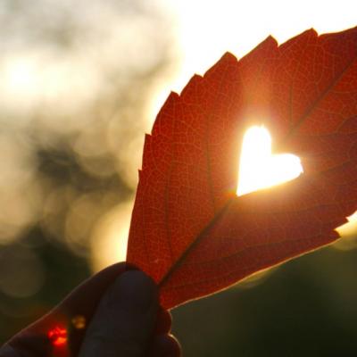 Cere-i scuze inimii tale pentru ca nu stii sa o iubesti cu adevarat