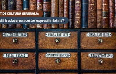 Test de cultura generala: Tu stii traducerea acestor expresii in latina?