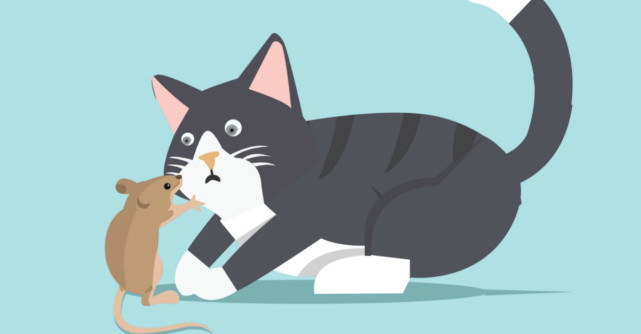 Tom și Jerry împlinesc 80 de ani