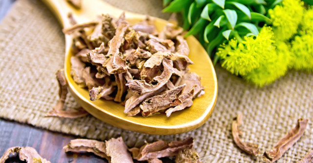 Rhodiola rosea: alungă oboseala și restabilește echilibrul hormonal